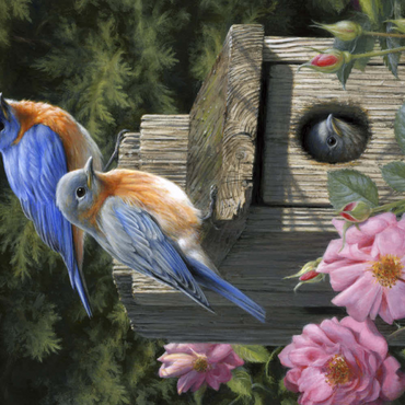 Darstellung des Puzzle Motivs Garten-Hüttensänger 500 Puzzle 3D Modell