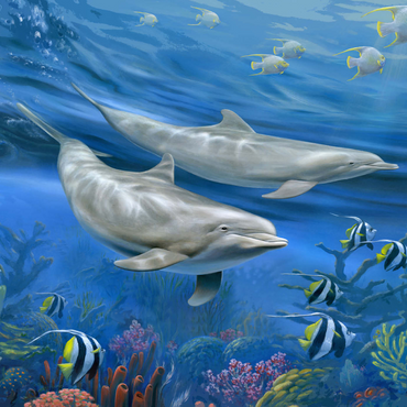 Darstellung des Puzzle Motivs Dolphins 1000 Puzzle 3D Modell