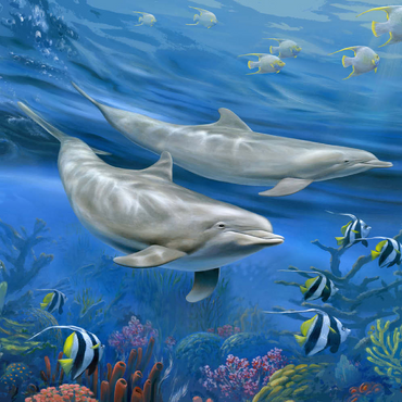 Darstellung des Puzzle Motivs Dolphins 100 Puzzle 3D Modell