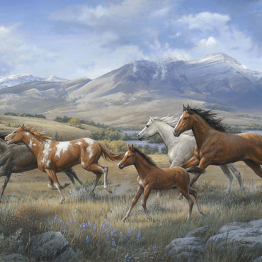 Darstellung des Puzzle Motivs Running Free 1000 Puzzle 3D Modell