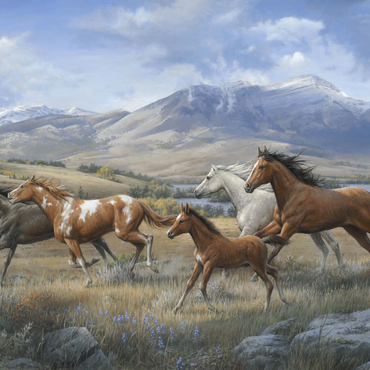 Darstellung des Puzzle Motivs Running Free 100 Puzzle 3D Modell