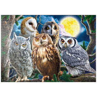 Darstellung des Puzzle Motivs puzzleplate Owls 1000 Puzzle