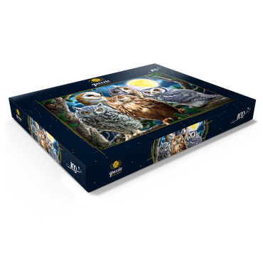 Darstellung des Puzzle Motivs Owls 100 Puzzle Schachtel Ansicht1