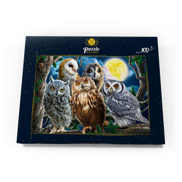 Darstellung des Puzzle Motivs Owls 100 Puzzle Schachtel Ansicht3