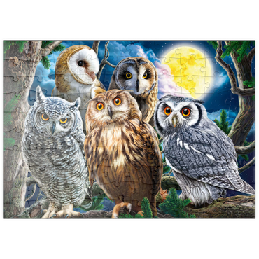 Darstellung des Puzzle Motivs puzzleplate Owls 100 Puzzle