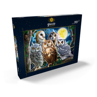 Darstellung des Puzzle Motivs Owls 200 Puzzle Schachtel Ansicht2