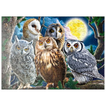 Darstellung des Puzzle Motivs puzzleplate Owls 200 Puzzle