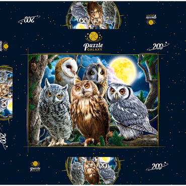 Darstellung des Puzzle Motivs Owls 200 Puzzle Schachtel 3D Modell