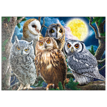 Darstellung des Puzzle Motivs puzzleplate Owls 500 Puzzle