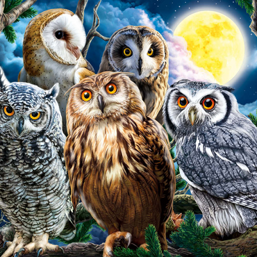 Darstellung des Puzzle Motivs Owls 500 Puzzle 3D Modell