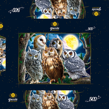 Darstellung des Puzzle Motivs Owls 500 Puzzle Schachtel 3D Modell