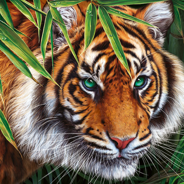 Darstellung des Puzzle Motivs Big Tiger 1000 Puzzle 3D Modell