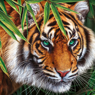 Darstellung des Puzzle Motivs Big Tiger 200 Puzzle 3D Modell