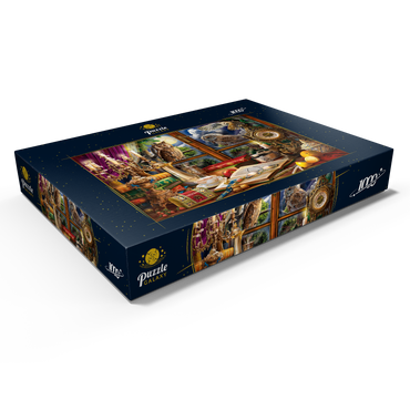 Darstellung des Puzzle Motivs Evening Still Life With Owls 1000 Puzzle Schachtel Ansicht1