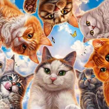 Darstellung des Puzzle Motivs Cat Selfie 100 Puzzle 3D Modell
