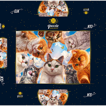 Darstellung des Puzzle Motivs Cat Selfie 100 Puzzle Schachtel 3D Modell