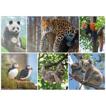 Darstellung des Puzzle Motivs puzzleplate Einzigartig - Bedrohte Tierarten - Collage No. 3 1000 Puzzle