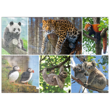 Darstellung des Puzzle Motivs puzzleplate Einzigartig - Bedrohte Tierarten - Collage No. 3 100 Puzzle