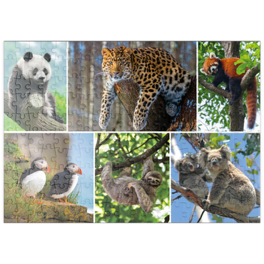 Darstellung des Puzzle Motivs puzzleplate Einzigartig - Bedrohte Tierarten - Collage No. 3 200 Puzzle
