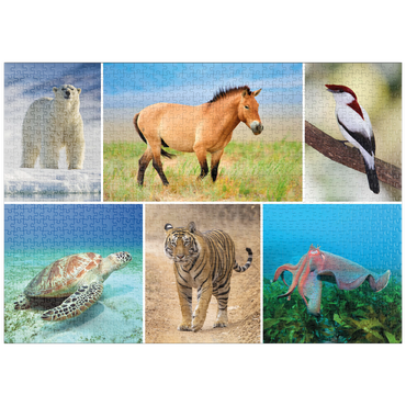 Darstellung des Puzzle Motivs puzzleplate Einzigartig - Bedrohte Tierarten - Collage No. 4 1000 Puzzle