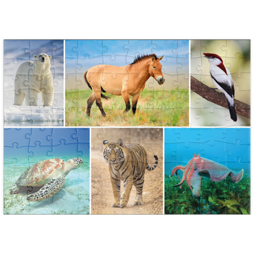 Darstellung des Puzzle Motivs puzzleplate Einzigartig - Bedrohte Tierarten - Collage No. 4 100 Puzzle