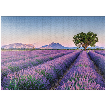 Darstellung des Puzzle Motivs puzzleplate Lavendelfeld in der Provence, Frankreich 1000 Puzzle