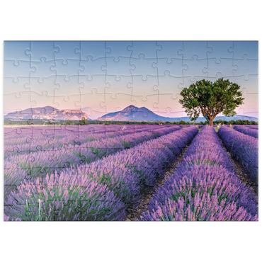 Darstellung des Puzzle Motivs puzzleplate Lavendelfeld in der Provence, Frankreich 100 Puzzle