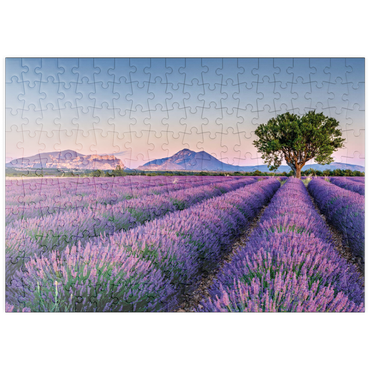 Darstellung des Puzzle Motivs puzzleplate Lavendelfeld in der Provence, Frankreich 200 Puzzle