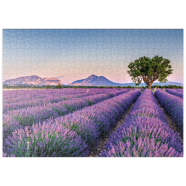 Darstellung des Puzzle Motivs puzzleplate Lavendelfeld in der Provence, Frankreich 500 Puzzle