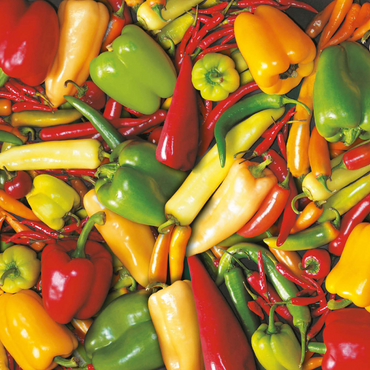 Darstellung des Puzzle Motivs Piatnik: Paprika 1000 Puzzle 3D Modell