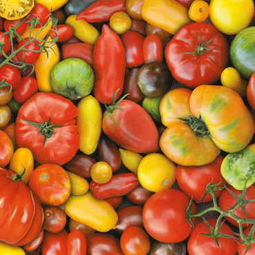 Darstellung des Puzzle Motivs Piatnik: Tomaten 200 Puzzle 3D Modell