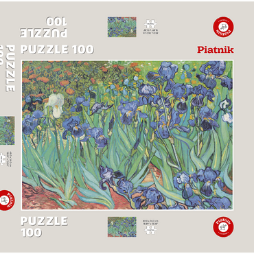 Darstellung des Puzzle Motivs Piatnik: Schwertlilien 100 Puzzle Schachtel 3D Modell