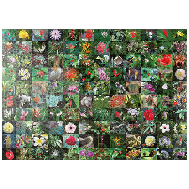 Darstellung des Puzzle Motivs puzzleplate Piatnik: Blossoms / Blüten 1000 Puzzle