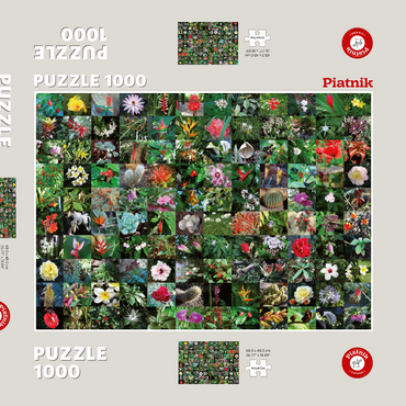 Darstellung des Puzzle Motivs Piatnik: Blossoms / Blüten 1000 Puzzle Schachtel 3D Modell