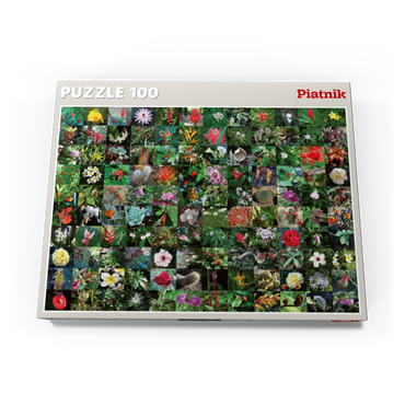 Darstellung des Puzzle Motivs Piatnik: Blossoms / Blüten 100 Puzzle Schachtel Ansicht3