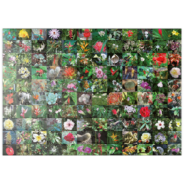 Darstellung des Puzzle Motivs puzzleplate Piatnik: Blossoms / Blüten 100 Puzzle