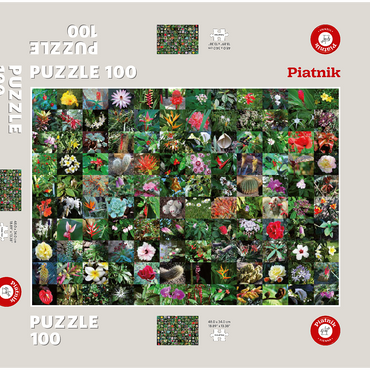 Darstellung des Puzzle Motivs Piatnik: Blossoms / Blüten 100 Puzzle Schachtel 3D Modell