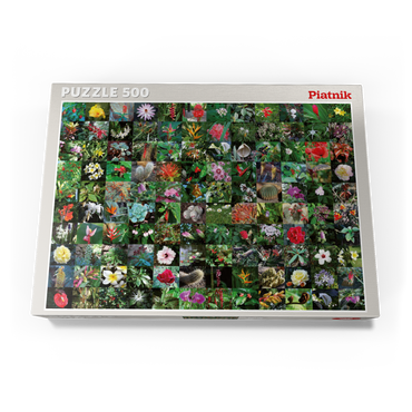 Darstellung des Puzzle Motivs Piatnik: Blossoms / Blüten 500 Puzzle Schachtel Ansicht3