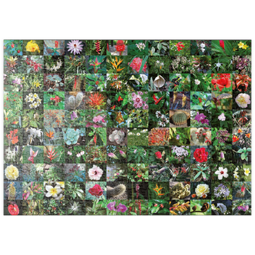 Darstellung des Puzzle Motivs puzzleplate Piatnik: Blossoms / Blüten 500 Puzzle
