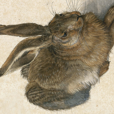 Darstellung des Puzzle Motivs Piatnik: Hase 100 Puzzle 3D Modell