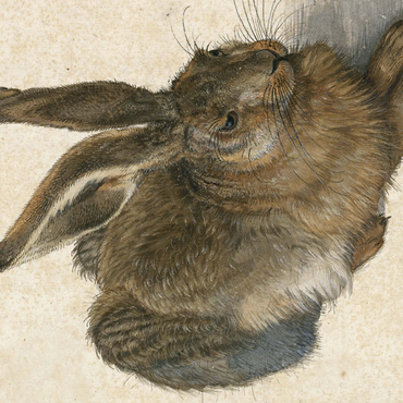 Darstellung des Puzzle Motivs Piatnik: Hase 500 Puzzle 3D Modell