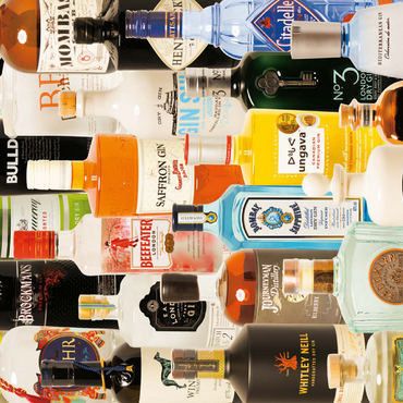 Darstellung des Puzzle Motivs Piatnik: Taste of Gin 500 Puzzle 3D Modell