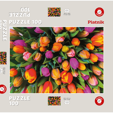 Darstellung des Puzzle Motivs Piatnik: Tulpen 100 Puzzle Schachtel 3D Modell