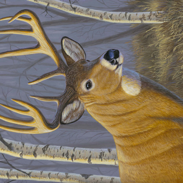 Darstellung des Puzzle Motivs Sunlit Whitetail 200 Puzzle 3D Modell