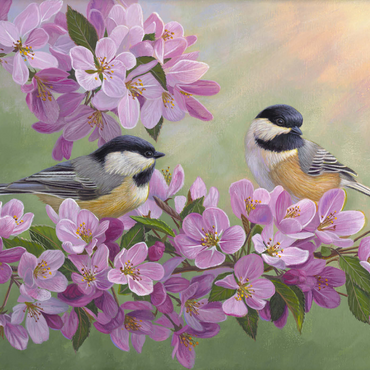 Darstellung des Puzzle Motivs Spring Glow Chickadees 1000 Puzzle 3D Modell