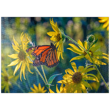 Darstellung des Puzzle Motivs puzzleplate The Monarch and the Sunflower 1000 Puzzle
