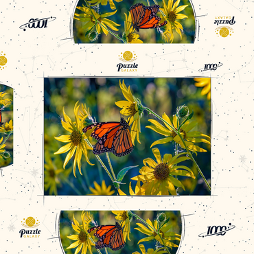 Darstellung des Puzzle Motivs The Monarch and the Sunflower 1000 Puzzle Schachtel 3D Modell