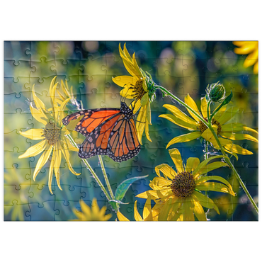 Darstellung des Puzzle Motivs puzzleplate The Monarch and the Sunflower 100 Puzzle