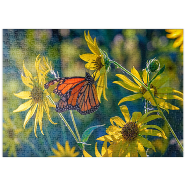 Darstellung des Puzzle Motivs puzzleplate The Monarch and the Sunflower 500 Puzzle