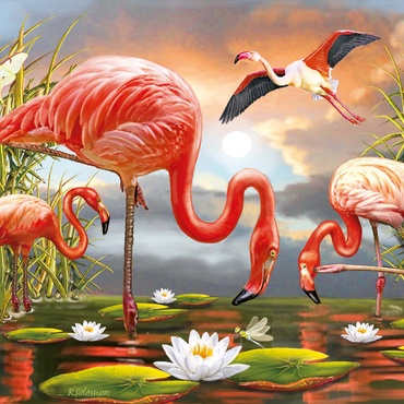 Darstellung des Puzzle Motivs Flamingoes 1000 Puzzle 3D Modell